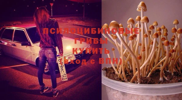 гидропоника Михайловка
