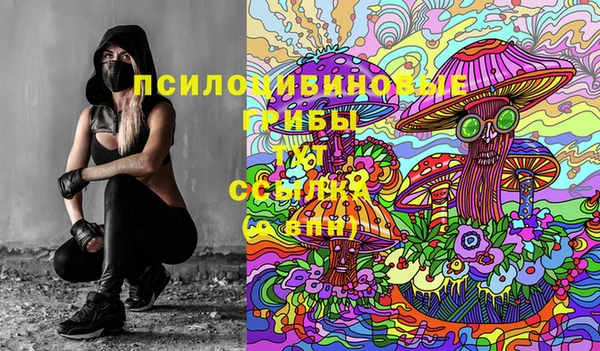 кокс Михайловск