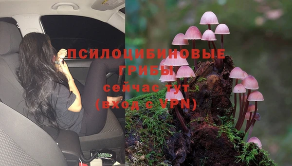 гидропоника Михайловка