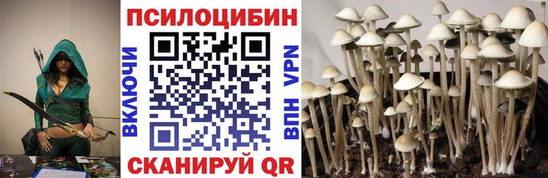 ОМГ ОМГ как зайти  дарк нет наркотические препараты  Ельня  Галлюциногенные грибы прущие грибы  как найти  